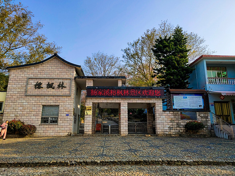 杨家溪旅游景点攻略图