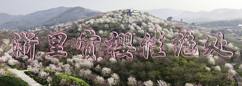 杭州樱花园旅游景点攻略图