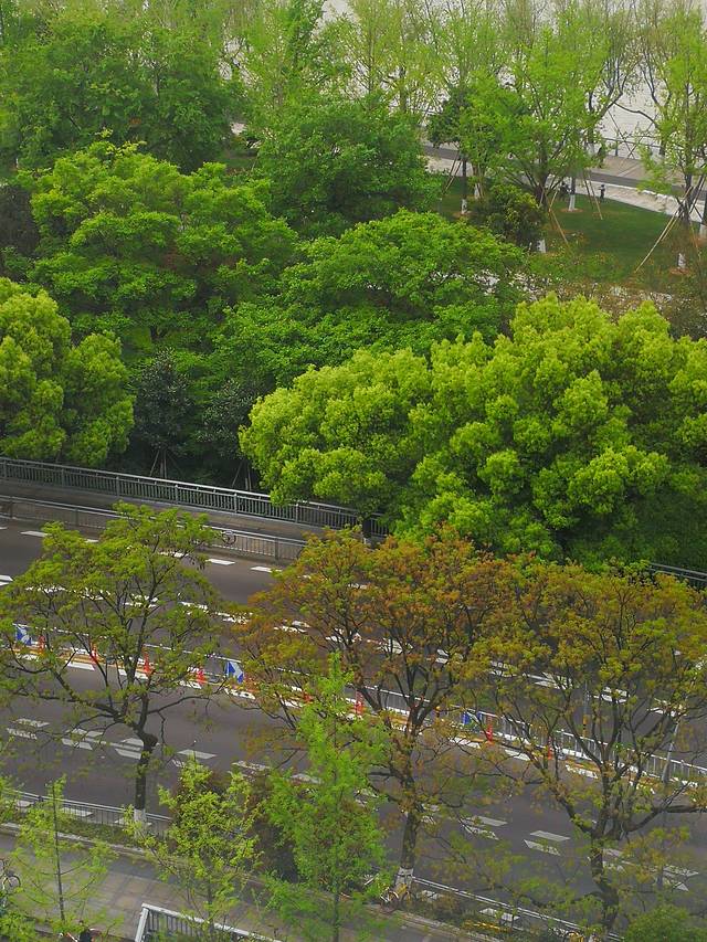 大运河宁波三江口