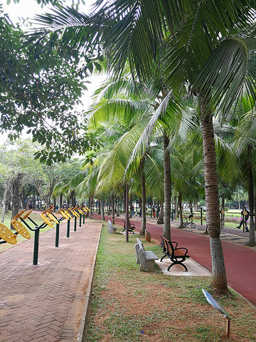 萬綠園,分為16個景區和許多景點,16個景區是大門區,廣場區,內湖區