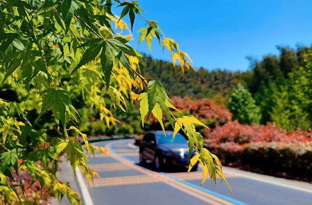 笄山竹海风景区
