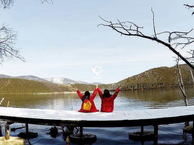 普达措杜鹃花海