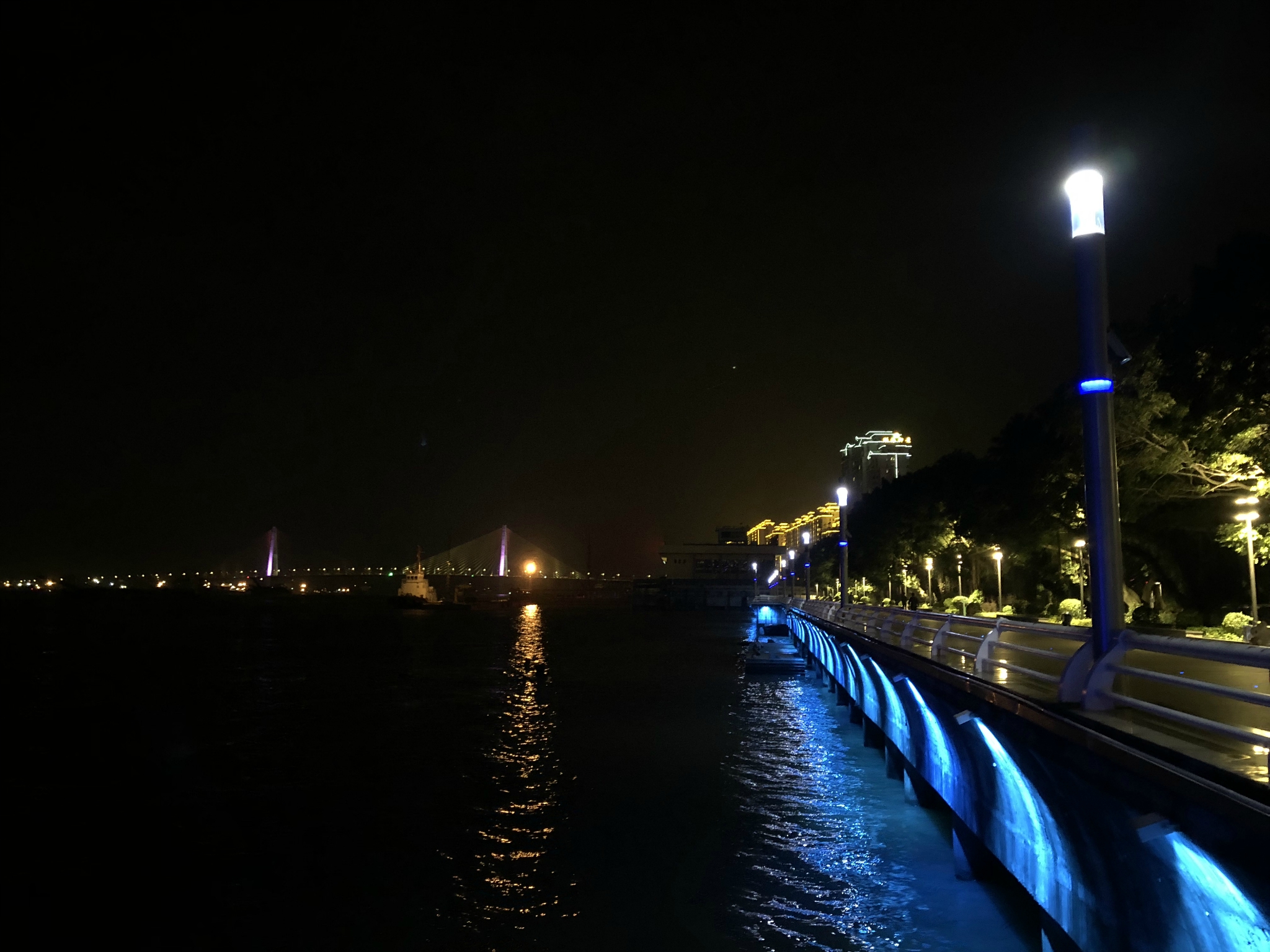 金沙湾观海长廊夜景图片
