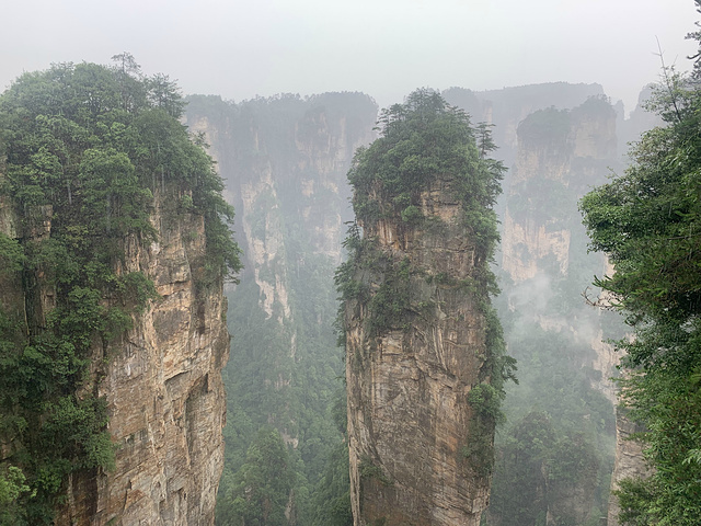 "景色在雨停的那几分钟还是非常美的。这里是张家界风景一绝，是大自然的一个奇迹。四周悬崖绝壁，水滴飞溅_袁家界景区"的评论图片