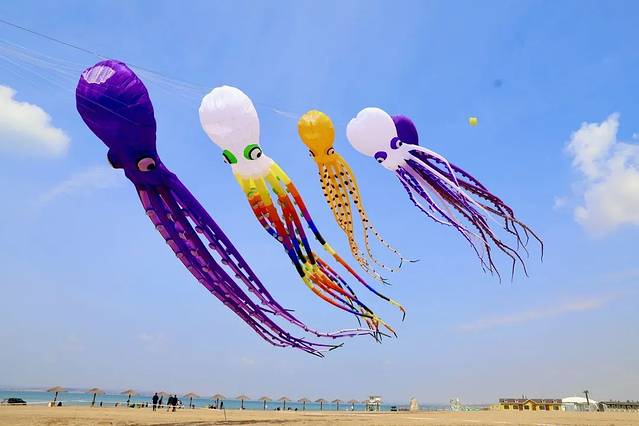 陕西红碱淖风景区