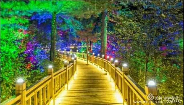 汤旺河林海奇石风景区