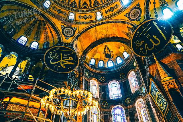 伊斯坦布尔大学