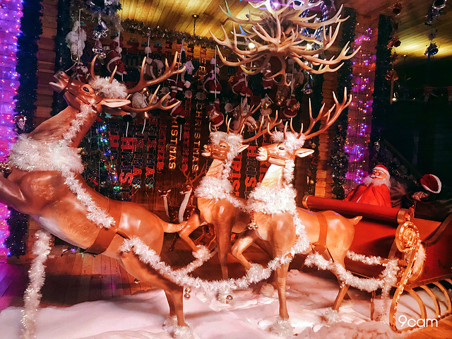 "北极圣诞村”由英国工程设计研究院设计，位于中国最北的边陲小镇北极村东面，北极圣诞村”将带领游人..._北极圣诞村"的评论图片