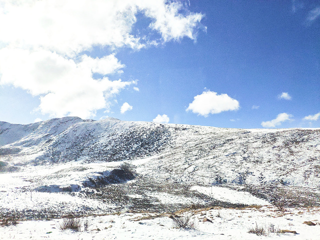 "色季拉山山口海拔4728米，视野开阔，可以远眺壮丽的南迦巴瓦峰。高山白雪皑皑，天空中漂浮的云团遮住了_色季拉山"的评论图片