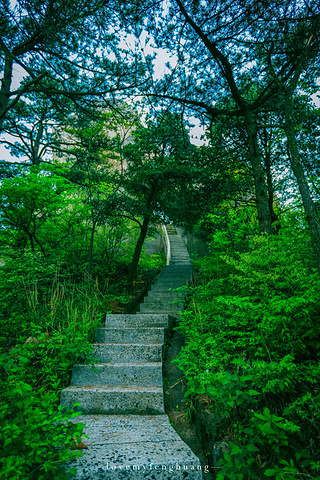 "...，这些远看似古堡魏立的天柱山岩石，在西关群峰垂直节理中非常发育，形成了横看成岭侧成峰的美丽景致_天柱山"的评论图片