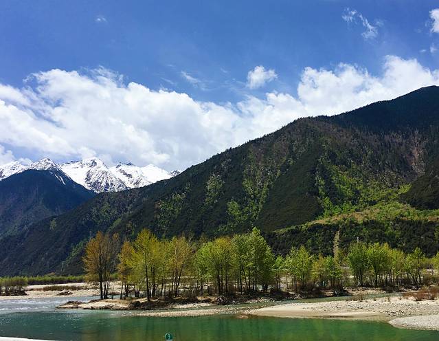 尼洋河风光带景区