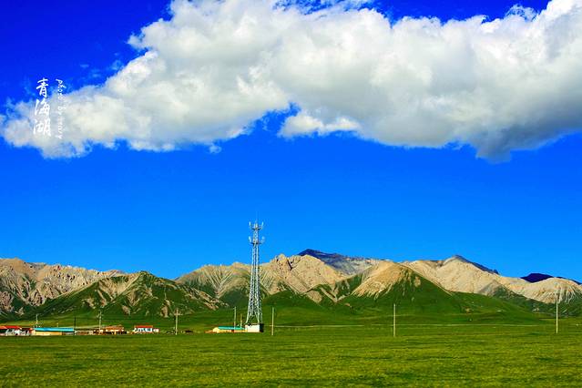 青海刚察草原