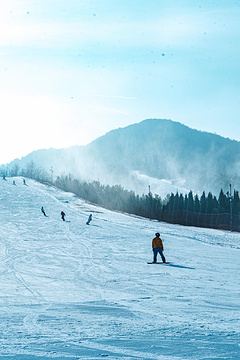 林海滑雪场旅游景点攻略图