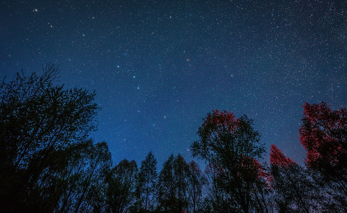 抬頭望向森林的邊緣, 北斗 七星在天空中閃爍著,是如此的美麗