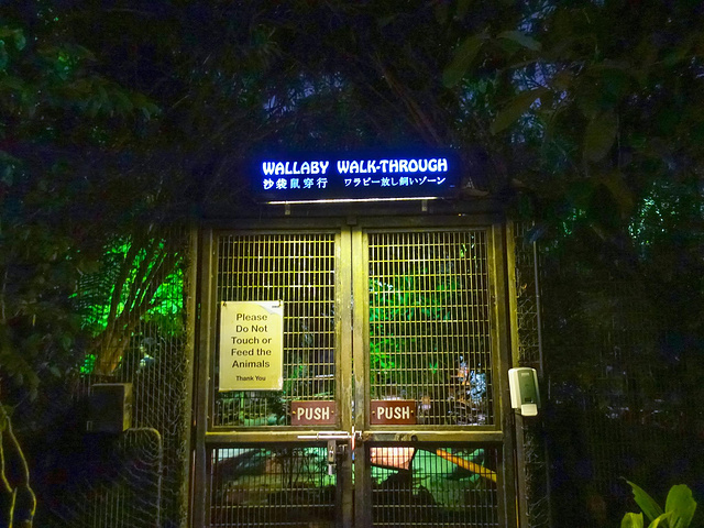 "有很多小伙伴做过游览车就返回了，但其实动物园设置的4条步行路径也是非常值得体验的_新加坡夜间野生动物园"的评论图片