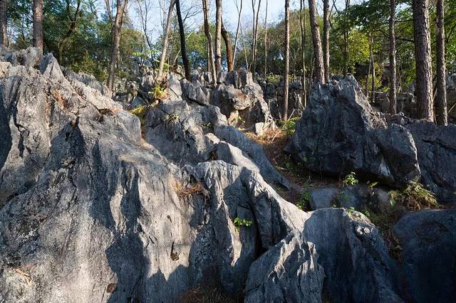 神峰关生态旅游度假区