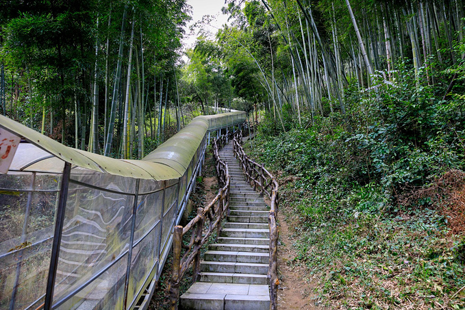 说说这次旅行图片