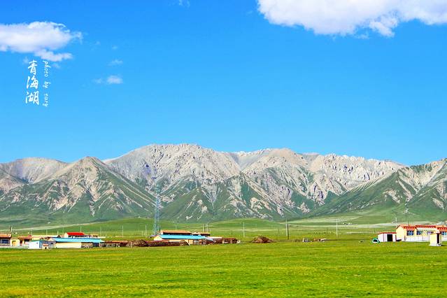青海刚察草原