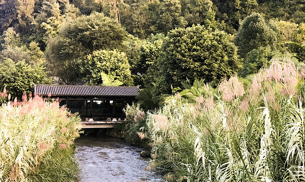 腾冲悦椿温泉村【餐饮】旅游景点图片