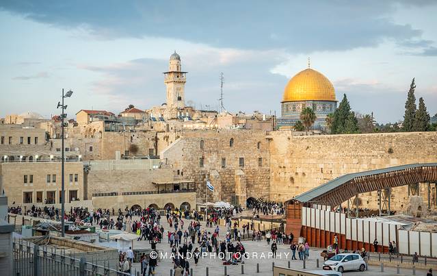 【小蛮弟Mandy】很高兴认识你,严肃又活泼的