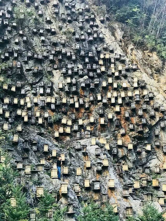 神农坛生态农庄