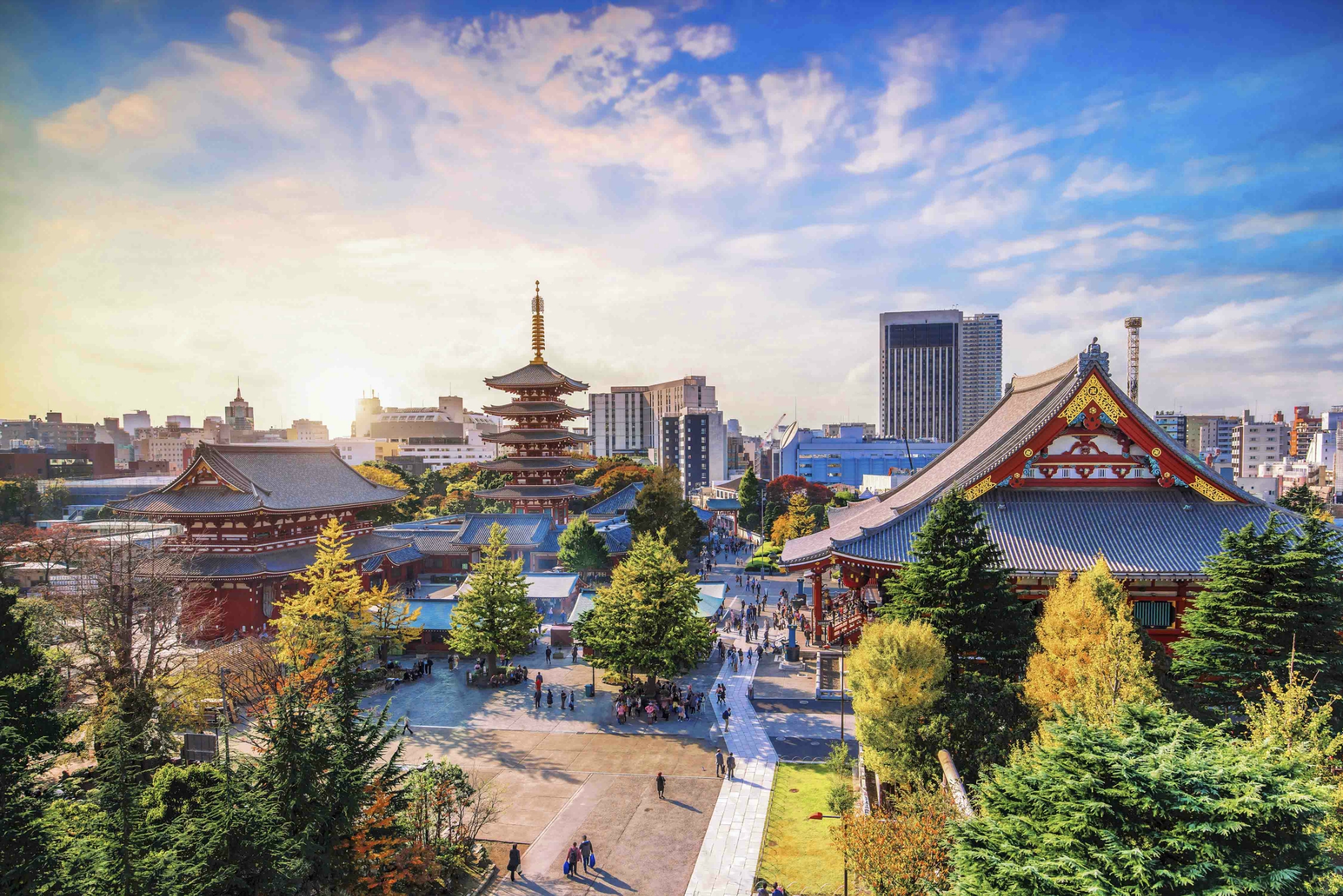 2022年新旅行期待，搭乘海洋奇迹号开启奇迹之旅