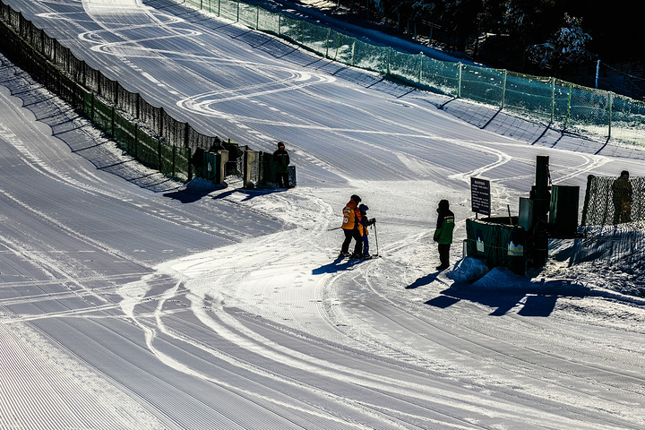 "全民冬雪健身是作为北京人一项非常重要的运动，欢乐冬雪季让冰雪项目在寒冷的京城绽放。来滑雪的孩子们_南山滑雪场"的评论图片