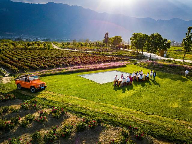 花伴一生玫瑰庄园