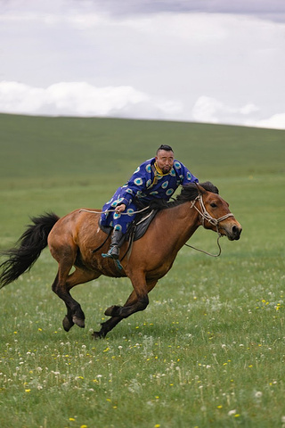 策马奔腾,从我们眼前飞驰而过.真的是太帅了!