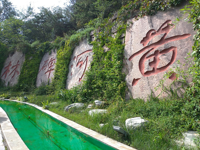 郑州黄河文化公园