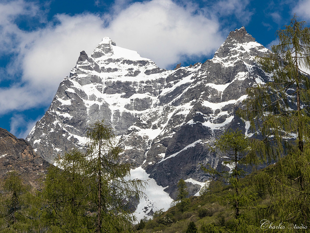 "四姑娜措---这里海拔3580米，传说是四姑娘沐浴的圣地。沟内的观光车道直通沟尾_双桥沟"的评论图片