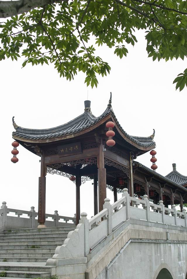 飞来湖湿地公园