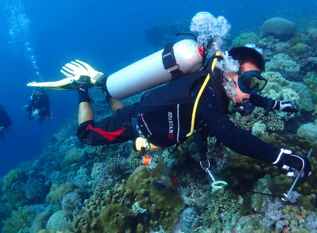 首选三亚亚龙湾!