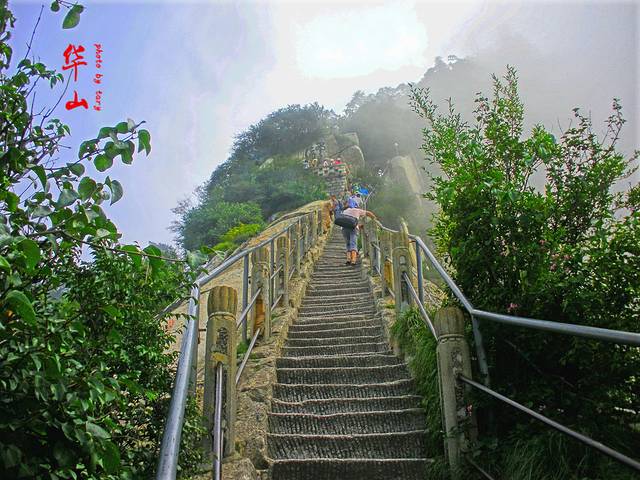 自古华山一条路