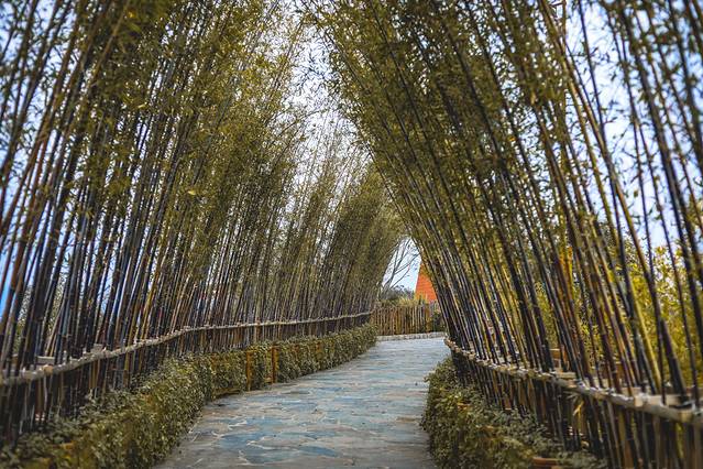 松垟花开火车乐园