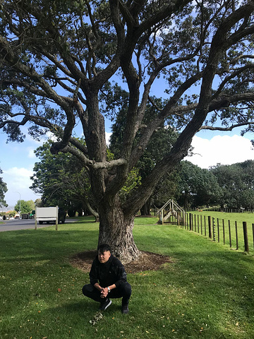 新西兰人口数量非常少,没有国内公园的诸多限