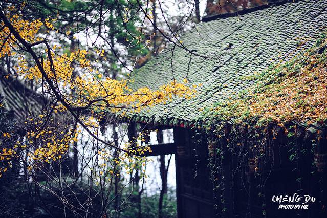 灵岩观音山自然风景区