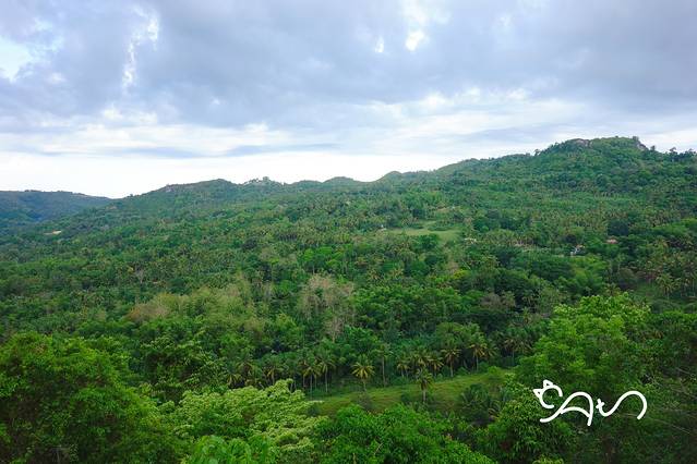 墨宝沙丁鱼风暴潜水