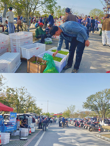 2022安吉游玩攻略,安吉交通/住宿/行程/美食/购物攻略,安吉注意事项