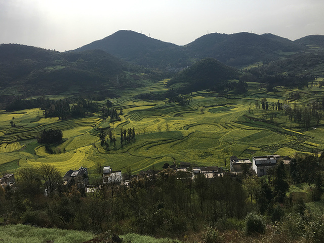 "螺丝田是由串珠岩溶漏斗地质地貌构成的自然景观，是别的地方所没有的，值得一观_螺丝田"的评论图片