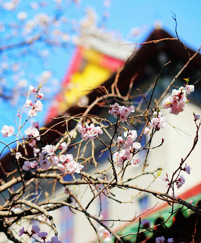 哈尔滨工程大学