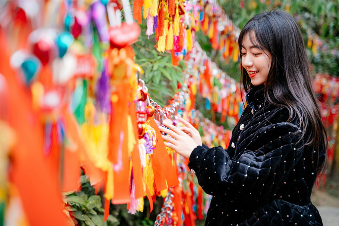 武侯祠、锦里图片