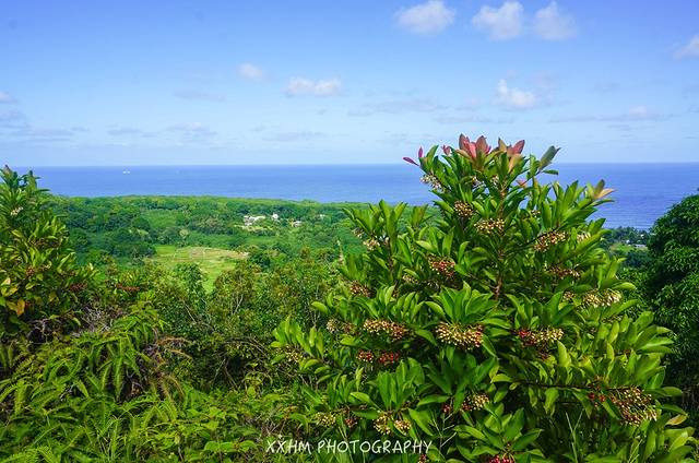怀阿纳帕纳帕州立公园