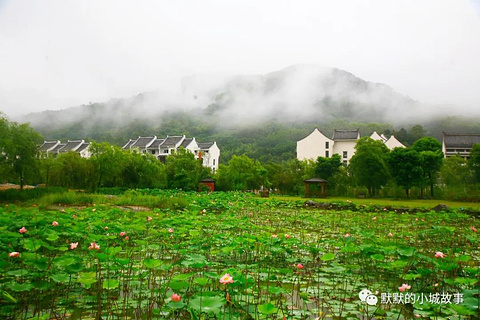 中国龙人古琴文化村旅游景点攻略图