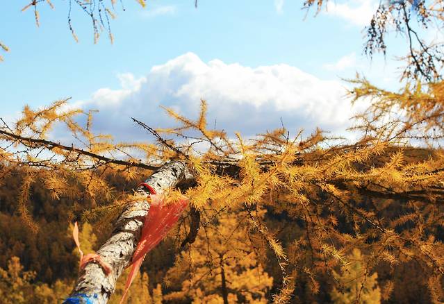 相思谷原始林风景区