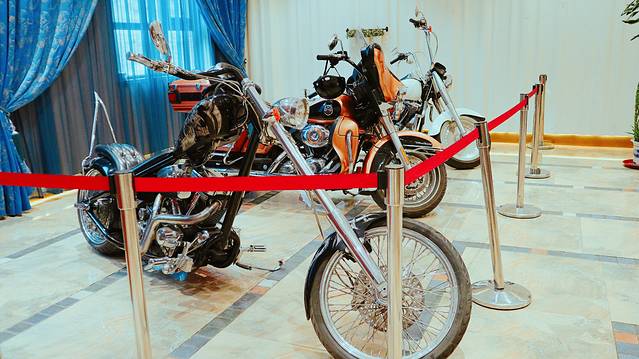 阿西娅(大砂坪店)