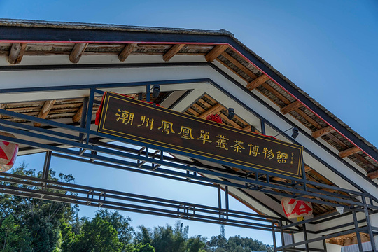 潮州凤凰单丛茶博物馆旅游景点图片