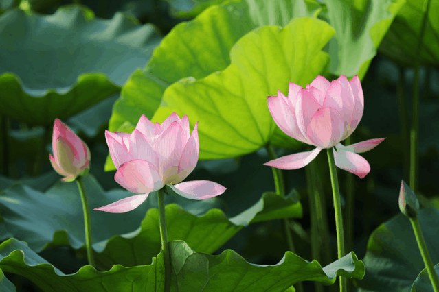 广州起义烈士陵园