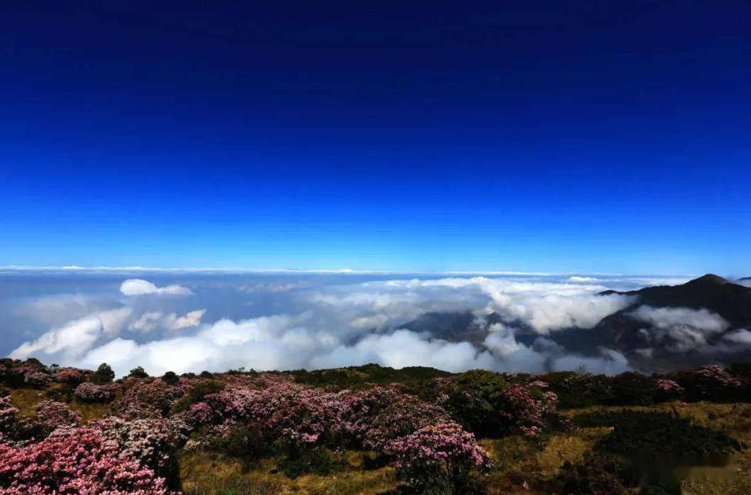 穿越时空，感受千年古韵——游凉山会理古城