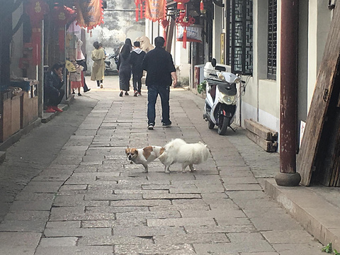锦溪古镇旅游景点攻略图